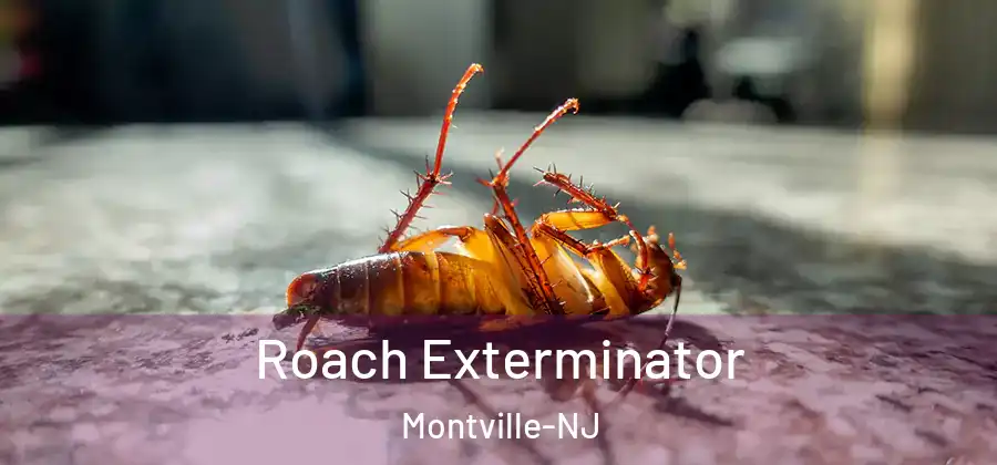 Roach Exterminator Montville-NJ