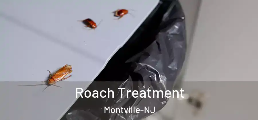 Roach Treatment Montville-NJ