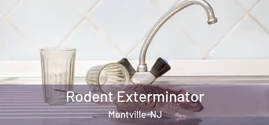  Rodent Exterminator Montville-NJ