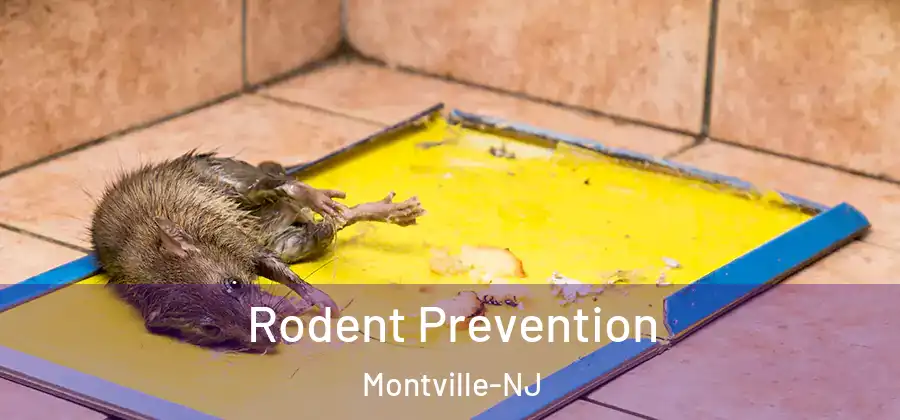 Rodent Prevention Montville-NJ