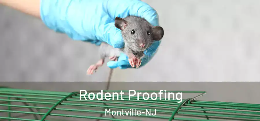 Rodent Proofing Montville-NJ
