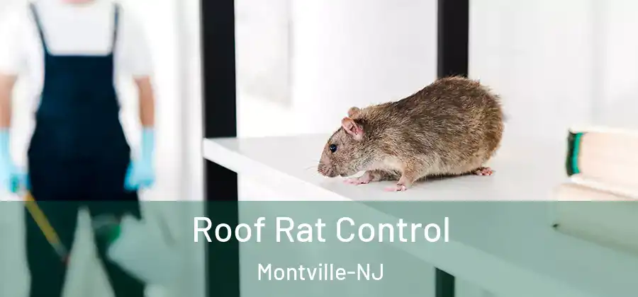  Roof Rat Control Montville-NJ