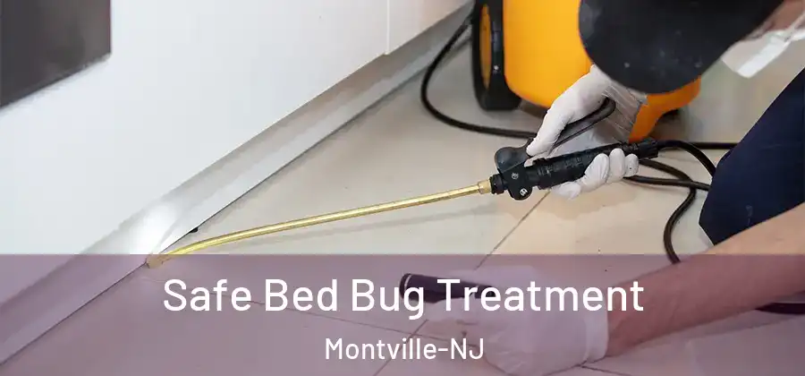 Safe Bed Bug Treatment Montville-NJ