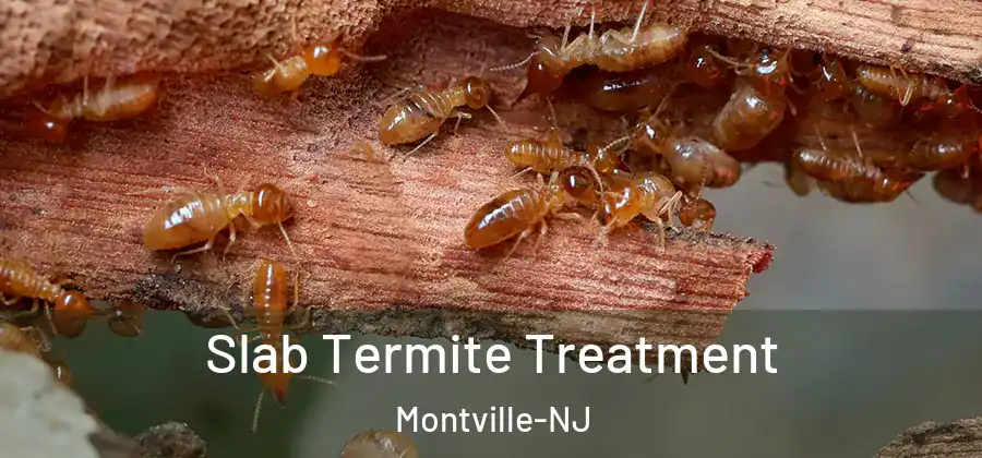  Slab Termite Treatment Montville-NJ