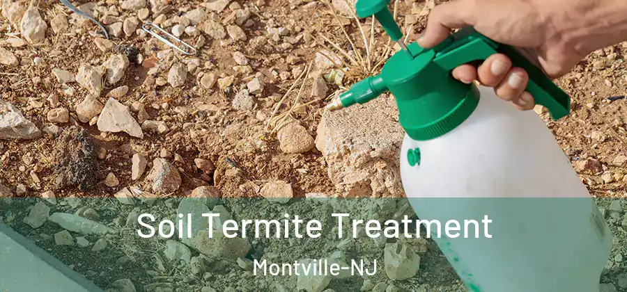  Soil Termite Treatment Montville-NJ