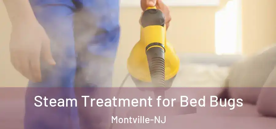 Steam Treatment for Bed Bugs Montville-NJ