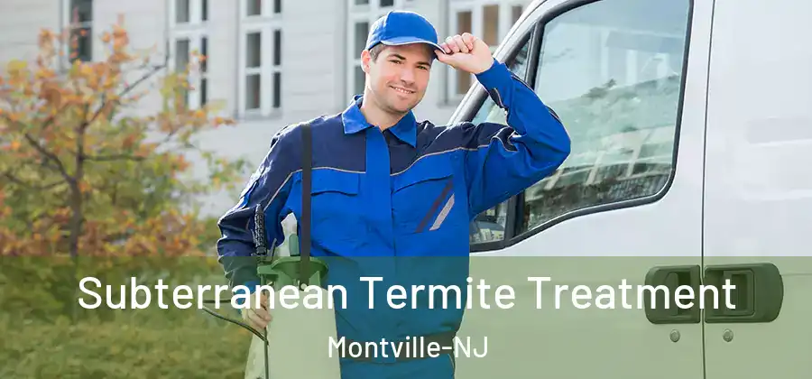 Subterranean Termite Treatment Montville-NJ