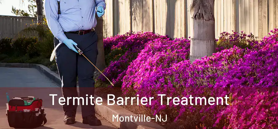  Termite Barrier Treatment Montville-NJ