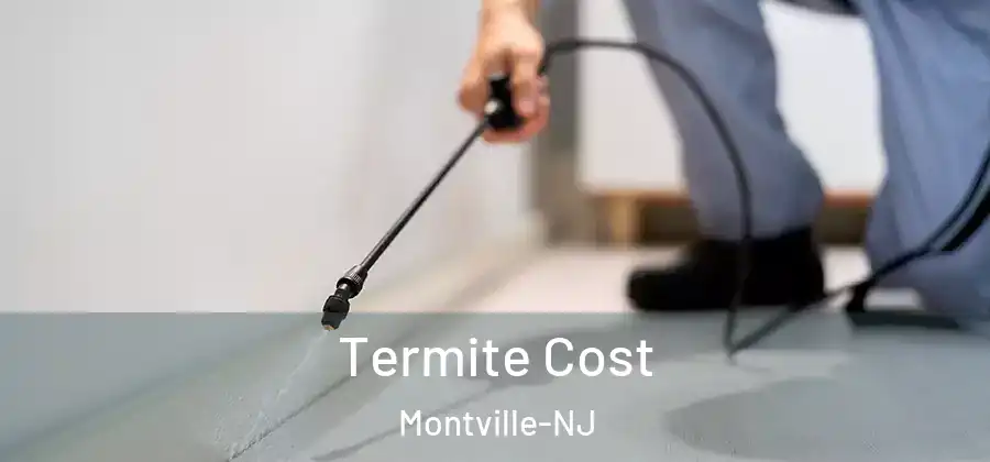 Termite Cost Montville-NJ