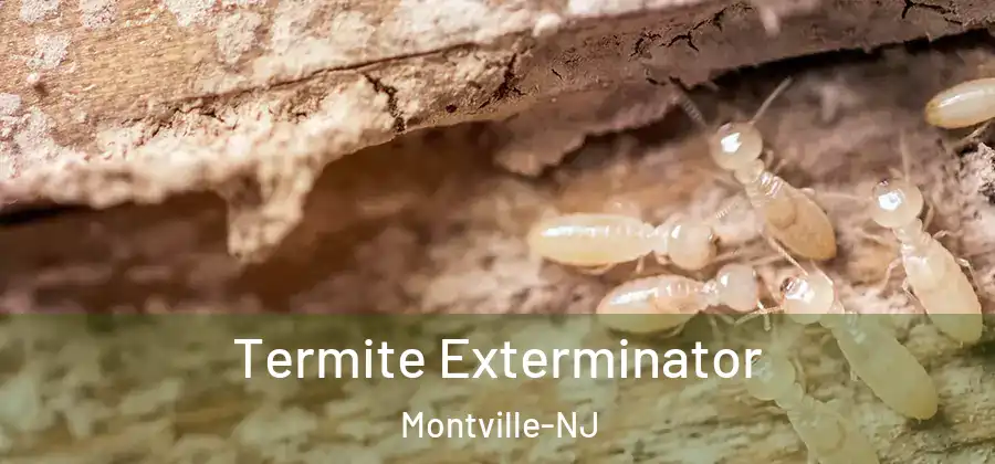 Termite Exterminator Montville-NJ
