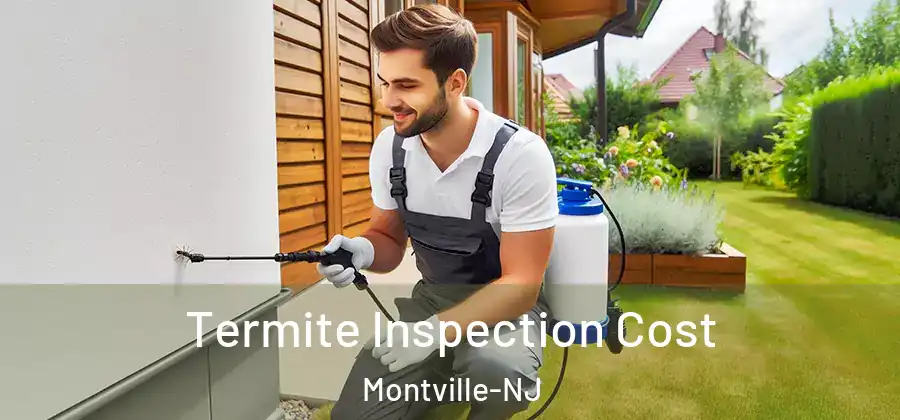 Termite Inspection Cost Montville-NJ