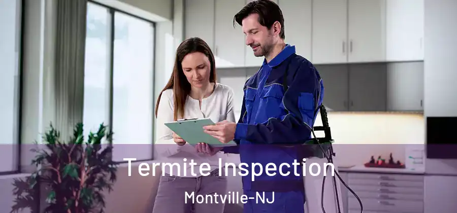  Termite Inspection Montville-NJ