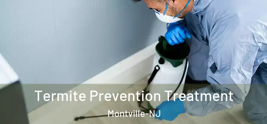  Termite Prevention Treatment Montville-NJ
