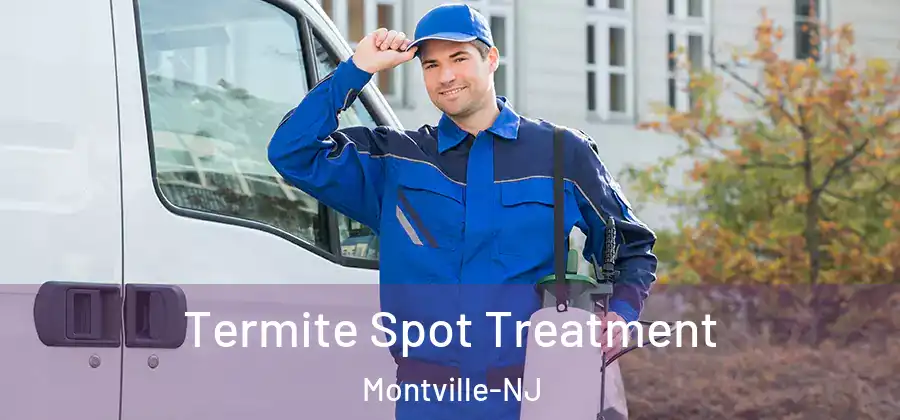  Termite Spot Treatment Montville-NJ