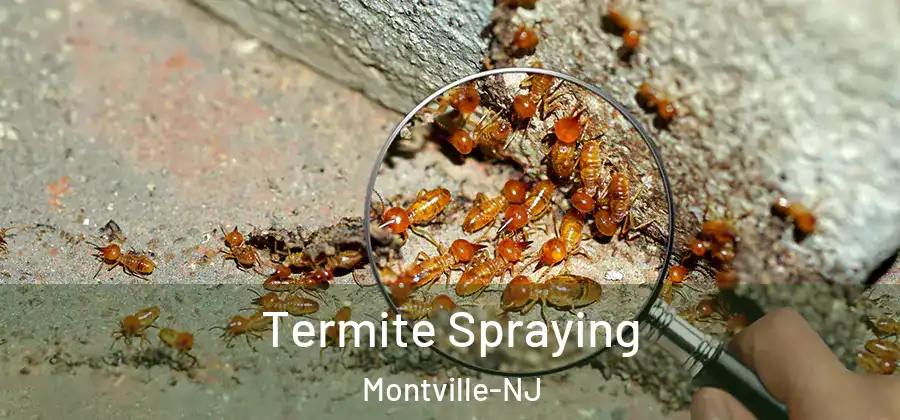 Termite Spraying Montville-NJ