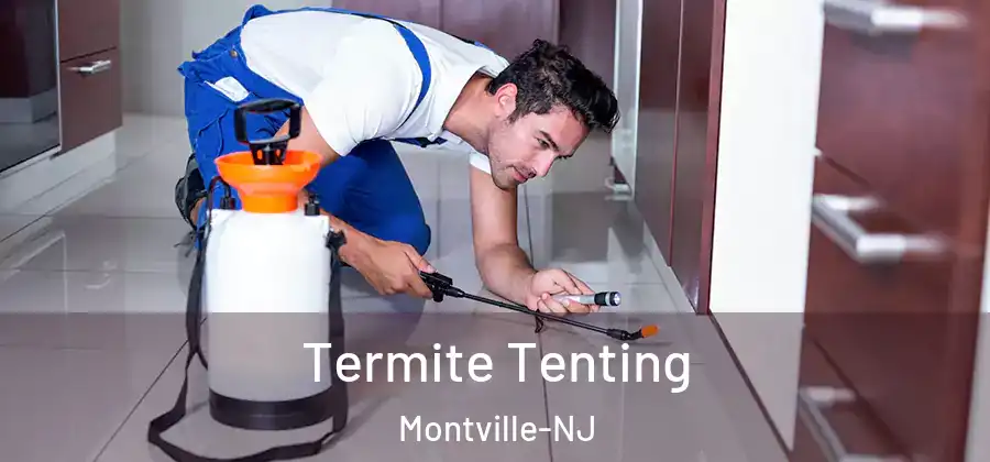 Termite Tenting Montville-NJ