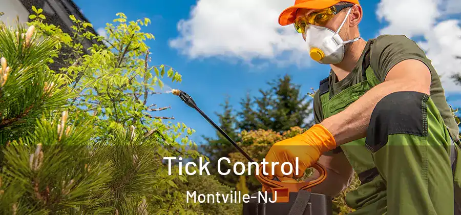 Tick Control Montville-NJ