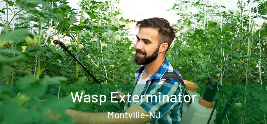 Wasp Exterminator Montville-NJ