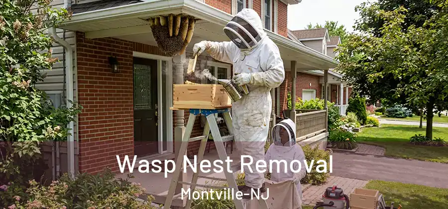  Wasp Nest Removal Montville-NJ