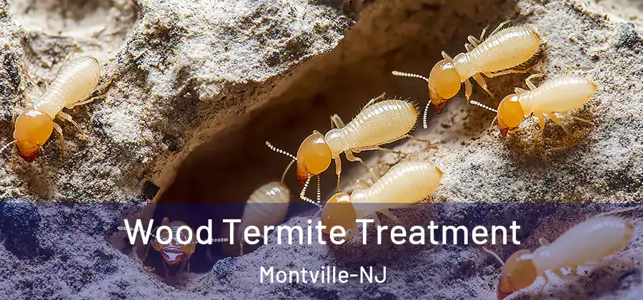 Wood Termite Treatment Montville-NJ