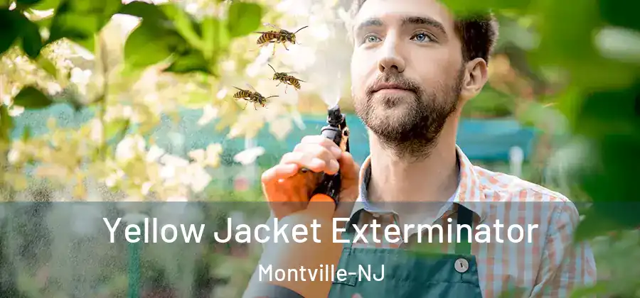 Yellow Jacket Exterminator Montville-NJ