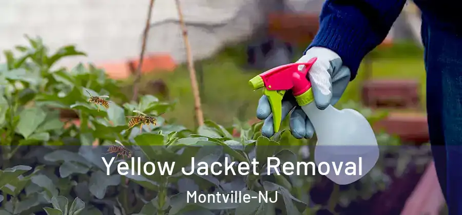 Yellow Jacket Removal Montville-NJ